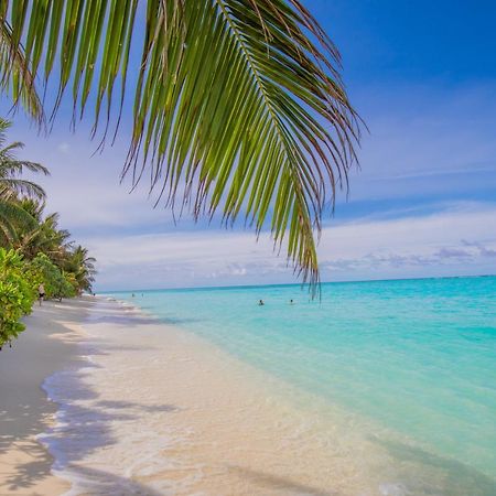 Jeym Lodge Thoddoo Ngoại thất bức ảnh