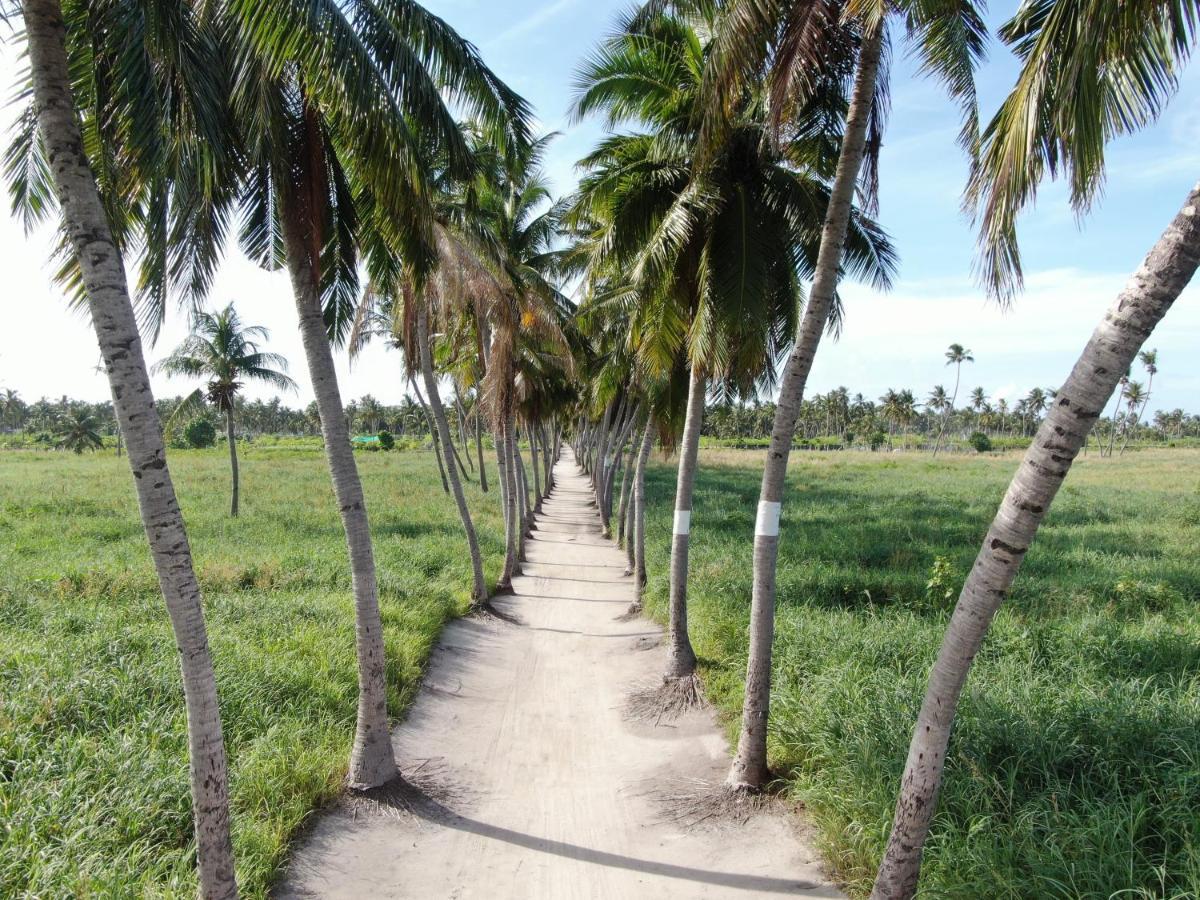 Jeym Lodge Thoddoo Ngoại thất bức ảnh